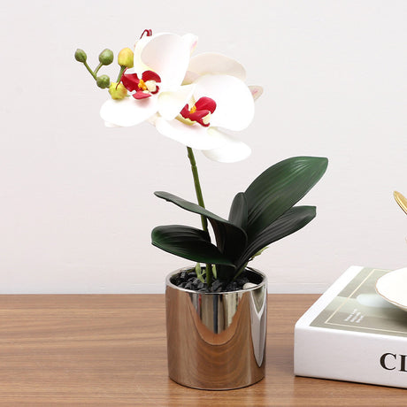 Nordic Simulation Plant Phalaenopsis Potted Home Living Room Decoration Fake Flower Flower Potted Simulation Flower Factory Wholesale - Maru Furniture Plants & Flowers # (Store description) 