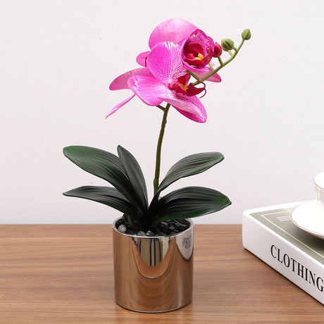 Nordic Simulation Plant Phalaenopsis Potted Home Living Room Decoration Fake Flower Flower Potted Simulation Flower Factory Wholesale - Maru Furniture Plants & Flowers # (Store description) 