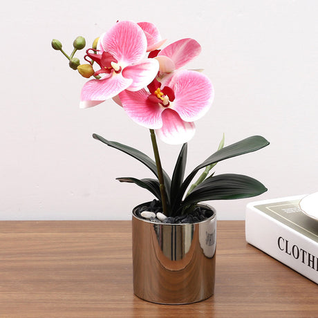 Nordic Simulation Plant Phalaenopsis Potted Home Living Room Decoration Fake Flower Flower Potted Simulation Flower Factory Wholesale - Maru Furniture Plants & Flowers # (Store description) 