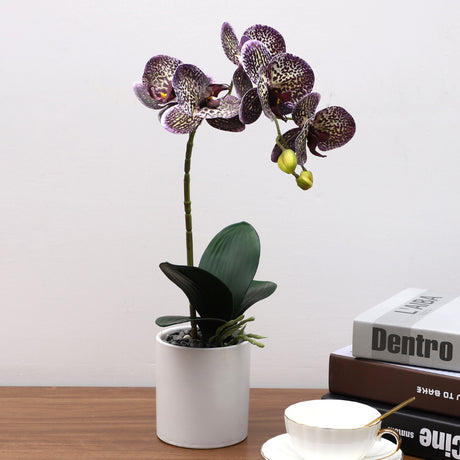 Nordic Simulation Plant Phalaenopsis Potted Home Living Room Decoration Fake Flower Flower Potted Simulation Flower Factory Wholesale - Maru Furniture Plants & Flowers # (Store description) 