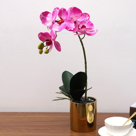 Nordic Simulation Plant Phalaenopsis Potted Home Living Room Decoration Fake Flower Flower Potted Simulation Flower Factory Wholesale - Maru Furniture Plants & Flowers # (Store description) 