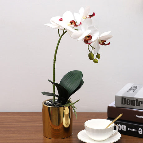 Nordic Simulation Plant Phalaenopsis Potted Home Living Room Decoration Fake Flower Flower Potted Simulation Flower Factory Wholesale - Maru Furniture Plants & Flowers # (Store description) 