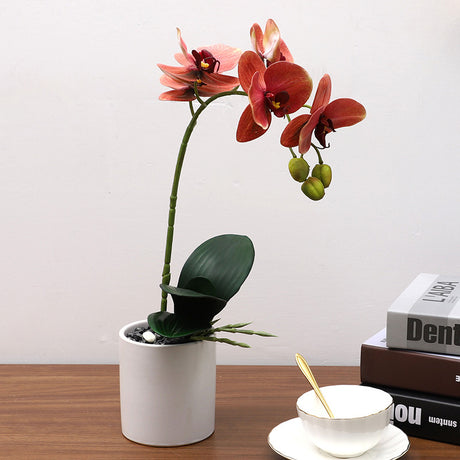 Nordic Simulation Plant Phalaenopsis Potted Home Living Room Decoration Fake Flower Flower Potted Simulation Flower Factory Wholesale - Maru Furniture Plants & Flowers # (Store description) 