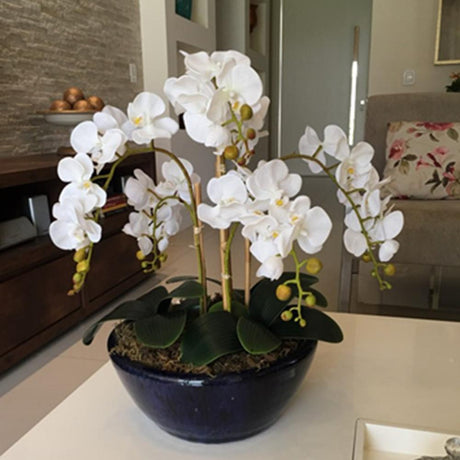 Artificial Flower Film Phalaenopsis Nine Heads Single Branch Artificial Flower Feel Chinese Home Living Room Decoration Flower Arrangement - Maru Furniture Plants & Flowers # (Store description) 