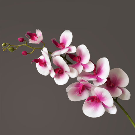 Artificial Flower Film Phalaenopsis Nine Heads Single Branch Artificial Flower Feel Chinese Home Living Room Decoration Flower Arrangement - Maru Furniture Plants & Flowers # (Store description) 