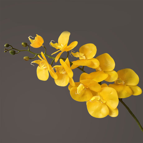 Artificial Flower Film Phalaenopsis Nine Heads Single Branch Artificial Flower Feel Chinese Home Living Room Decoration Flower Arrangement - Maru Furniture Plants & Flowers # (Store description) 