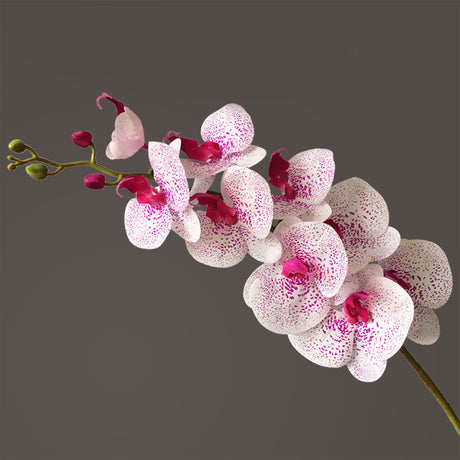 Artificial Flower Film Phalaenopsis Single Branch