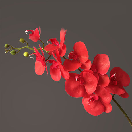 Artificial Flower Film Phalaenopsis Single Branch