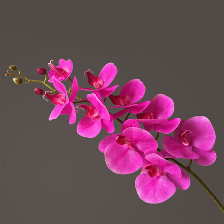 Artificial Flower Film Phalaenopsis Nine Heads Single Branch Artificial Flower Feel Chinese Home Living Room Decoration Flower Arrangement - Maru Furniture Plants & Flowers # (Store description) 