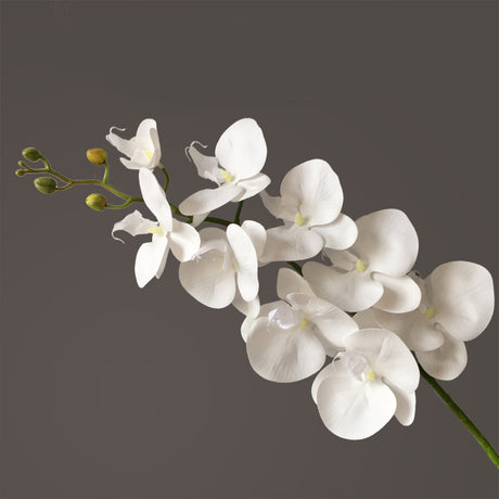 Artificial Flower Film Phalaenopsis Nine Heads Single Branch Artificial Flower Feel Chinese Home Living Room Decoration Flower Arrangement - Maru Furniture Plants & Flowers # (Store description) 