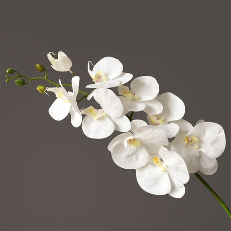 Artificial Flower Film Phalaenopsis Nine Heads Single Branch Artificial Flower Feel Chinese Home Living Room Decoration Flower Arrangement - Maru Furniture Plants & Flowers # (Store description) 