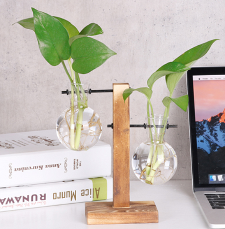 Glass Wood Vase Table Desktop Hydroponics Plant Stationery Bonsai Flower Pot Decoration Hanging Pots with Wooden Tray Pen Holder - Maru Furniture Plants & Flowers # (Store description) 