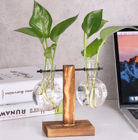 Glass Wood Vase Table Desktop Hydroponics Plant Stationery Bonsai Flower Pot Decoration Hanging Pots with Wooden Tray Pen Holder - Maru Furniture Plants & Flowers # (Store description) 