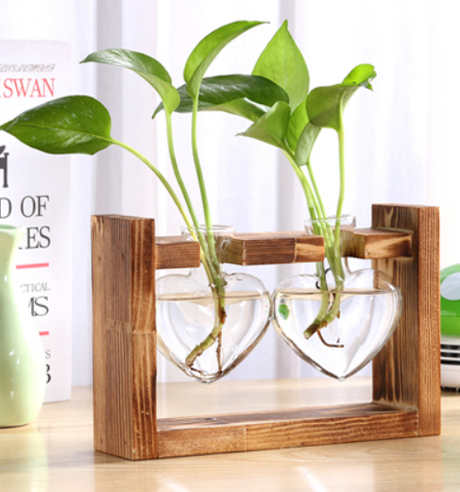 Glass Wood Vase Table Desktop Hydroponics Plant Stationery Bonsai Flower Pot