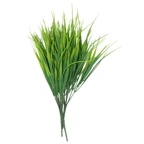 7 fork water grass - Maru Furniture Plants & Flowers # (Store description) 