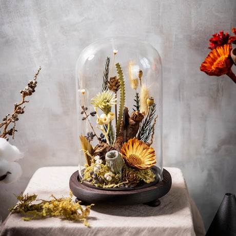 Handmade Plant Dried Flower Flower Micro Landscape Glass Cover Home Furnishings - Maru Furniture Decorative Accessories # (Store description) 