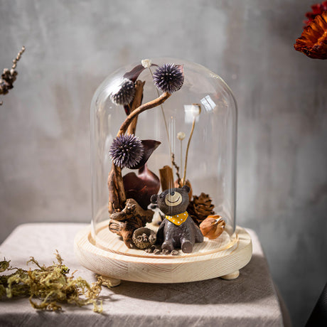 Handmade Plant Dried Flower Flower Micro Landscape Glass Cover Home Furnishings - Maru Furniture Decorative Accessories # (Store description) 